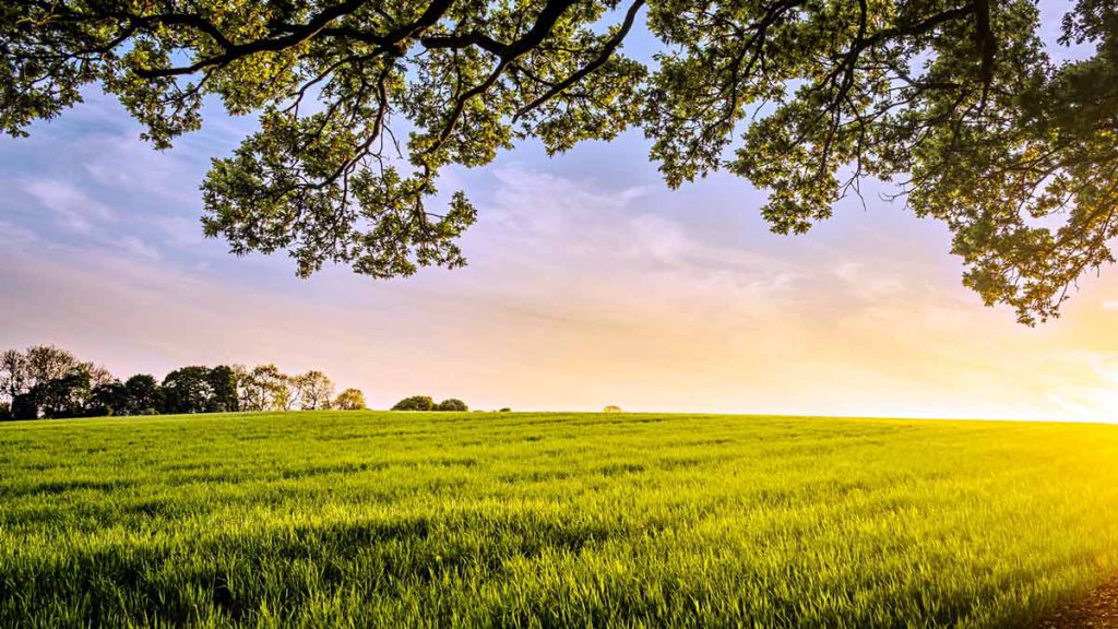 Ein weites Feld -Landleben und Landarche pur
